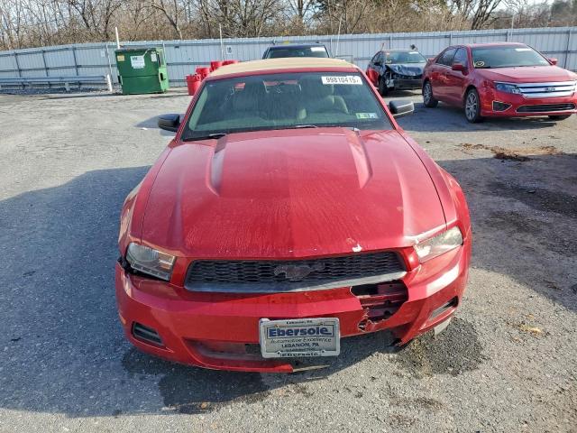 Ford Mustang Image 4