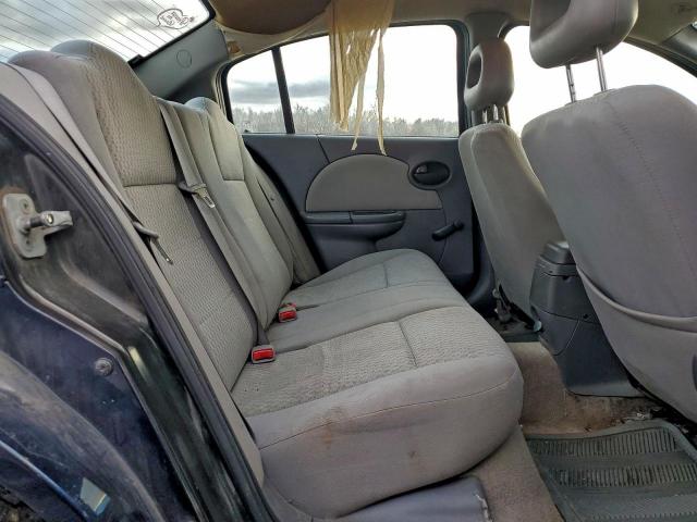 Saturn Ion Level 2 Image 11