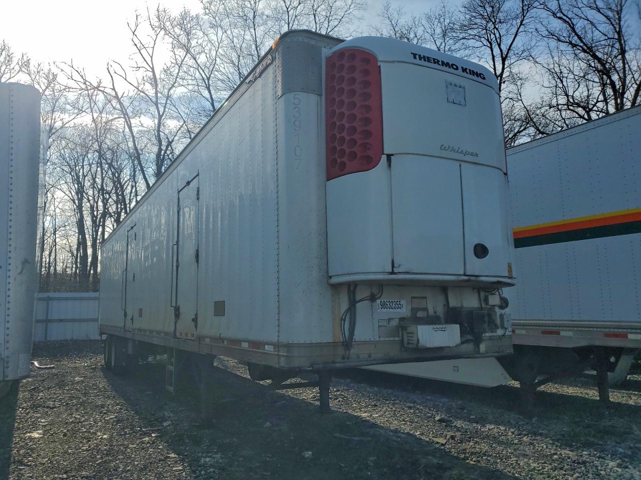 Great Dane Other Image 1