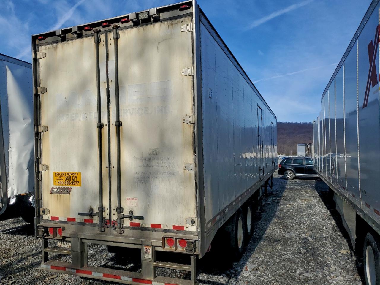 Great Dane Other Image 10