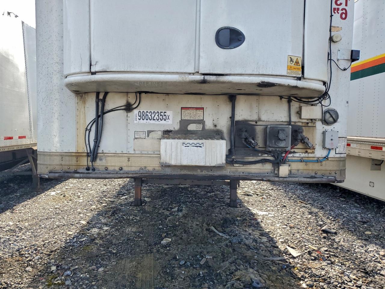 Great Dane Other Image 4