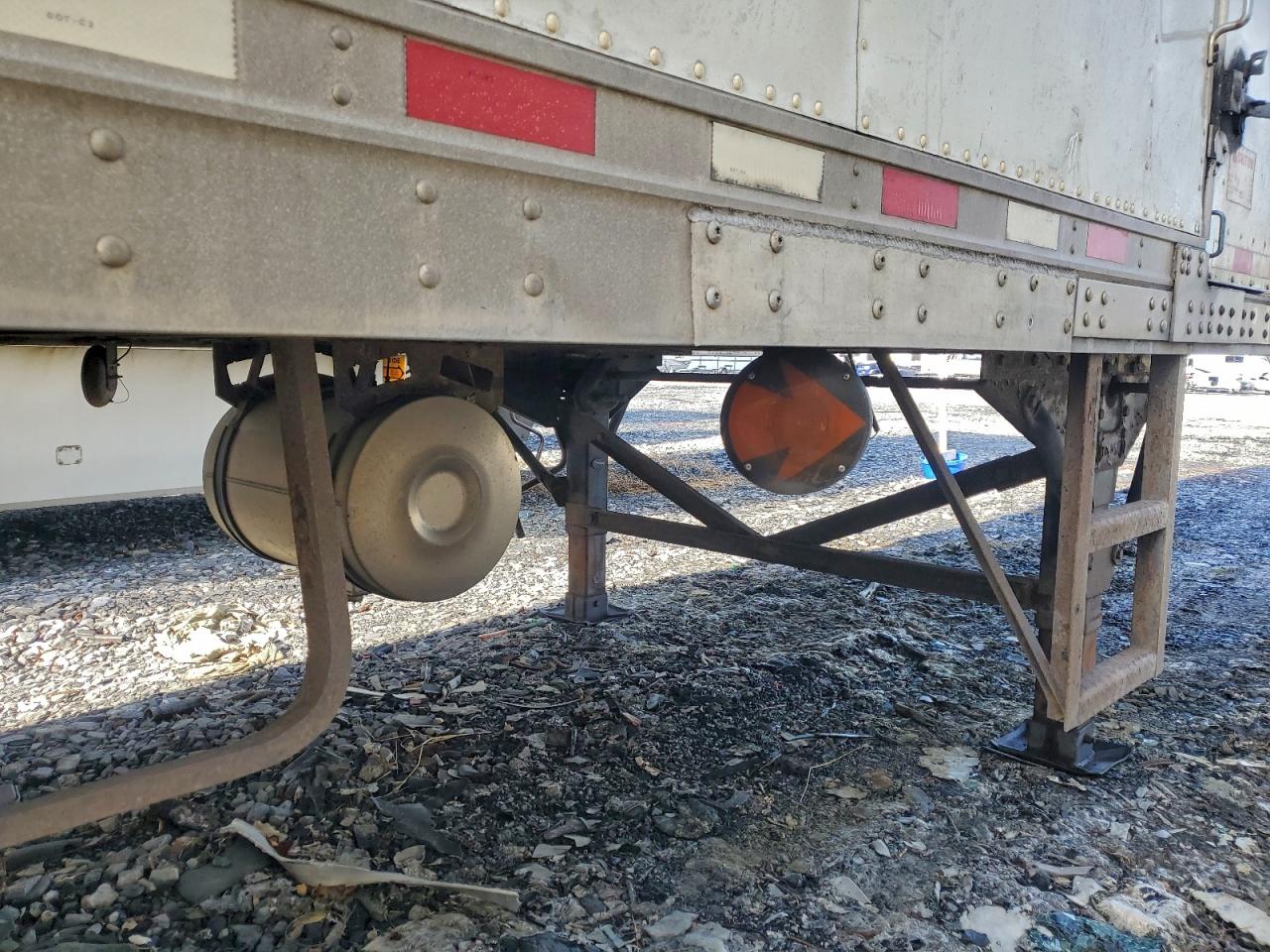 Great Dane Other Image 5